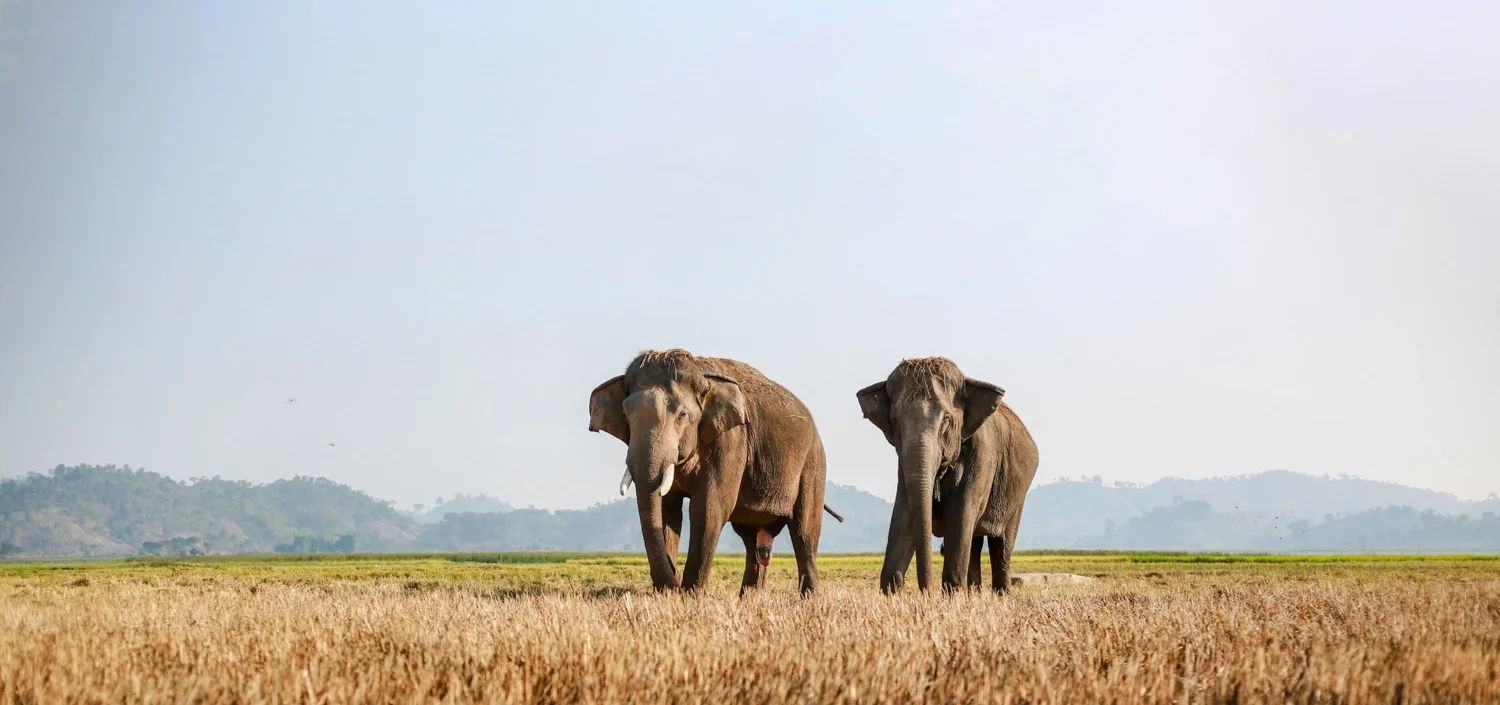 Kon Tum - Buon Me Thuot