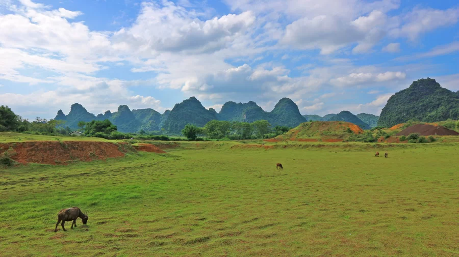 Thanh Nhat - Chi Vien (100km)